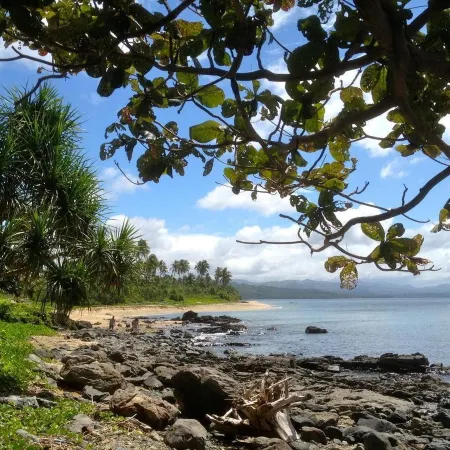 Blue Seastar Cottages