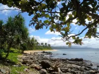 Blue Seastar Cottages - รีสอร์ท