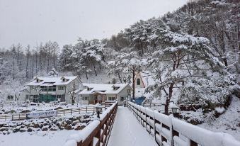 Hongcheon Pine Tree Pension (Remodeling, River View)