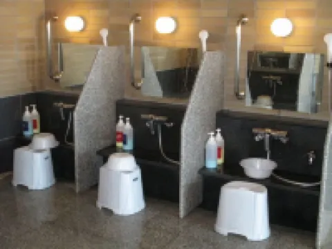 Cherry Park Hotel Hotéis em Sagae