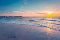 Noir Cottage | Glenelg North | 3Br | Netflix| BBQ