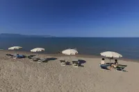 Residence Pineta - bar