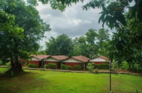 Nature Trails Kundalika, Kolad