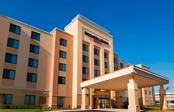 切薩皮克綠薔薇SpringHill套房