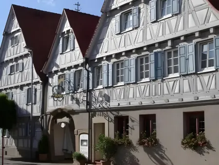 Historik Hotel Ochsen Отели в г. Тамм