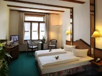 Ringhotel Schlossberg Отели в г. Пёснек
