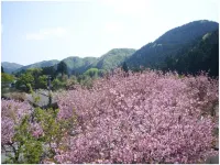 Takekurabe Các khách sạn ở Sakai