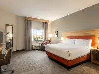 Candlewood Suites Mount Pleasant by IHG Hotels in Titus County