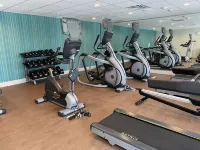 Holiday Inn Express & Suites FORNEY by IHG - Gym