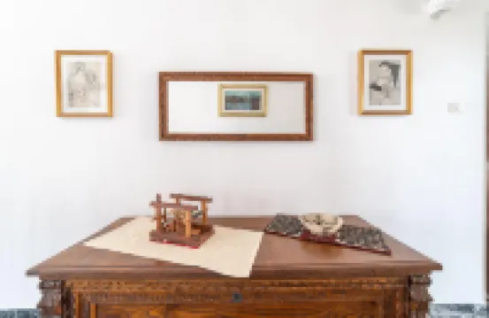 시니스의 넓은 하우스