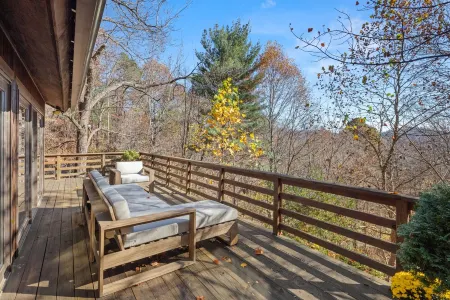 Stylish, secluded cabin minutes from the Biltmore and downtown