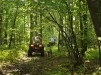 Spruce Run Hideaway, Log Cabin Alone On 245 Acres Of Forest, Lewisburg Pa