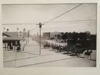 Marfa House Fronteriza--Central and Accessible Hotels in Marfa