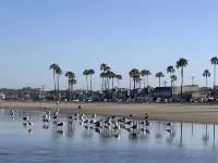 Newport Beach Location Ocean views Jacuzzi Sauna Spanish Cottage Boardwalk!