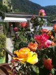 Villa lardarina Hotels in Corniglia