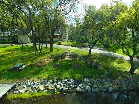 Unique Experience on a Working Alpacas Ranch.