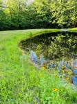 Restorative Mountain Sanctuary with Hot Tub, Minutes from the Mountains