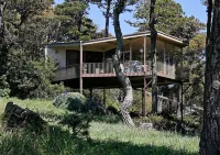 Tree Top Glass House - Hi House