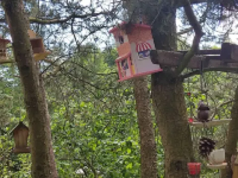 Ferienwohnung Neff Hotels in Struppen