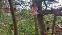 Ferienwohnung Neff