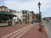 Hidden Fells Point Gem / Private Courtyard Patio