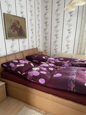 Colorful city on the Elde 2