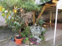 Sunny half-timbered house near Frankfurt / M Hotels in Rodgau