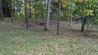 2 Bedroom, Sleeps 8-10, close to Penn State, Stadium and Downtown! HOT TUB!
