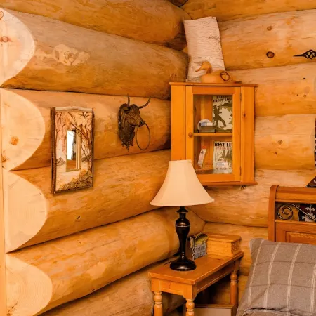 Handcrafted Riverfront Cabin on 10 acres