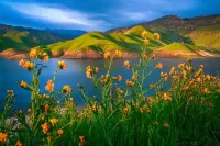 "The Clouds River Villa " - Water front  paradise  7 miles from Sequoias Gate