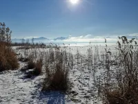 Unique and modern apartment with designer bathroom and balcony Hotels in Petting