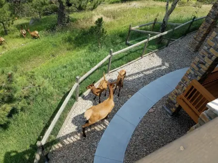 Million Dollar View Near Denver, Big West Skiing, and Countless Natural Wonders Отели рядом с достопримечательностью «Boettcher Mansion»