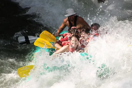 5.5 Acre Creek Front ~ Hi Speed Internet/ROKU TV