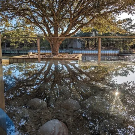 The Salty Seahorse!4x4 beach, private dock, hot tub, pool, Horses. Pet-Friendly
