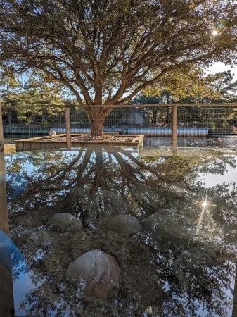 The Salty Seahorse!4x4 beach, private dock, hot tub, pool, Horses. Pet-Friendly