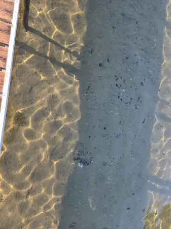 Higgins Lake Private Beachfront Home w/Dock, Boat Mooring, Sunset & Sunrise View