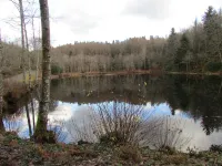 Country home Hotels in Montboudif