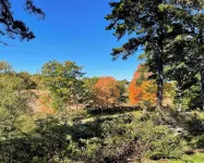 Marsh View Cottage in Arrowsic is a perfect nature getaway w/ nearby amenities