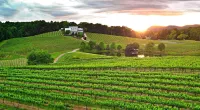 Dahlonega Wine Country Retreat at Cardinal Hill