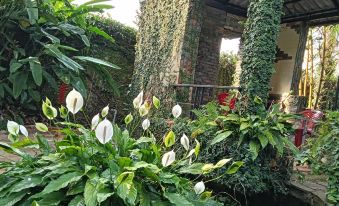 House Garden in town by Tâm Miên Man Homestay