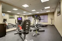 Holiday Inn Express & Suites NATCHEZ SOUTH by IHG - Kuntosalit