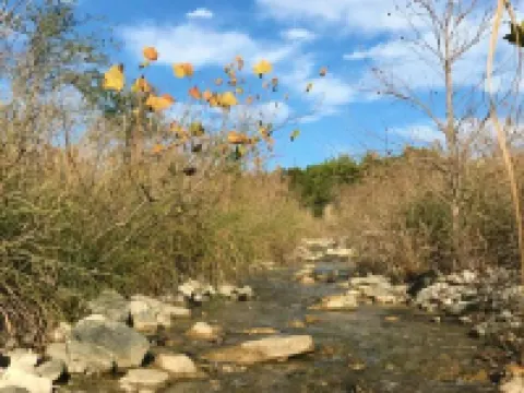 Secluded, shady river front Get-away cabin Hotels in Real County