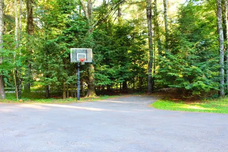 Heated pool, outdoor deck, fire pit, basketball court, fireplaces, central air.