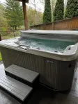 Private Hot Tub, Charming 1-bedroom apartment in delightful Vancouver with WiFi