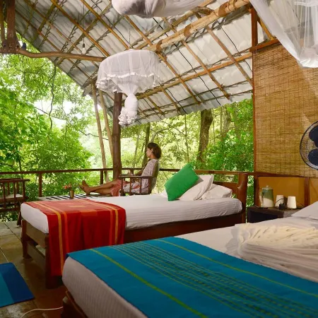 Back of Beyond - Wild Haven
