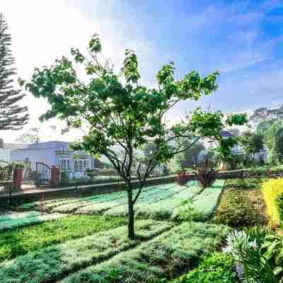 Dalat Chocolate Homestay Hotel Exterior