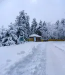 Magic Himalayan Cottage