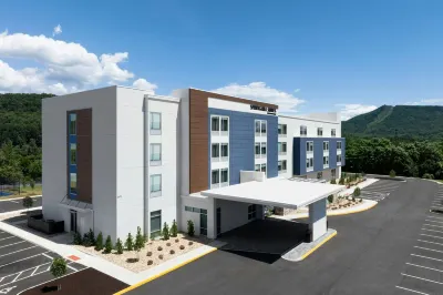 SpringHill Suites Roanoke North Hotels in Hollins