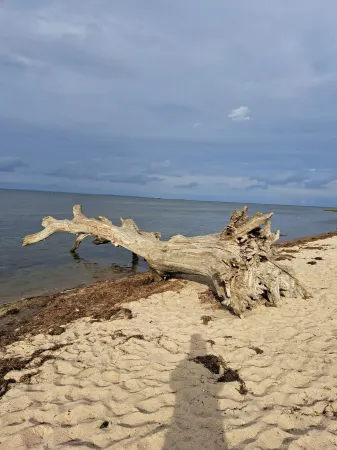 Vacation apartment 100sqm <br>Living <br>3 double beds Bedroom<br>Kitchen<br>Bathroom