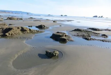 Coastal Cove Beach Bungalow! Beach Walks, Whale Watching, Agatha Hunting & More!